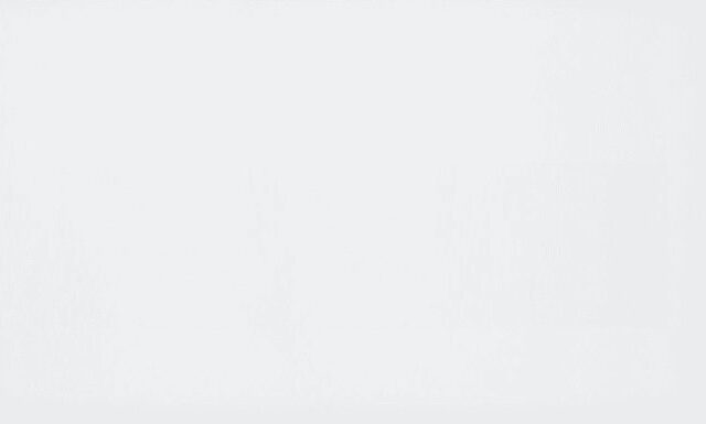 Matte True White Prima - 12 x 24 In