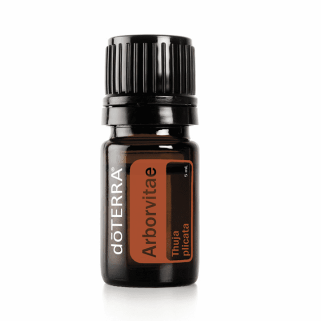 Arborvitae - 5 mL